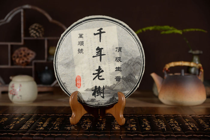 2004 "Millenial Old Tree" Big Snow Mountain Mengku Raw Pu-erh Tea Cake | Yunnan Sourcing Tea Shop