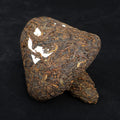 2011 Nan Jian Certified Organic Mushroom Tuo Ripe Pu-erh Tea | Yunnan Sourcing Tea Shop