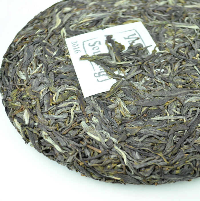 2016 Yunnan Sourcing "Bang Dong Village" Raw Pu-erh Tea Cake | Yunnan Sourcing Tea Shop