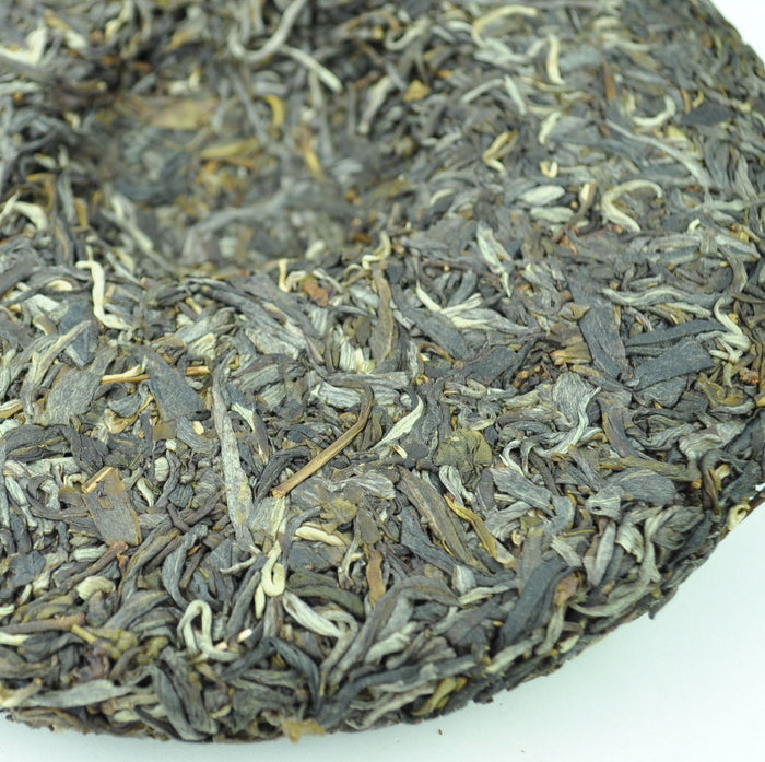 2016 Yunnan Sourcing "Mang Fei Mountain" Wild Arbor Raw Pu-erh Tea cake | Yunnan Sourcing Tea Shop