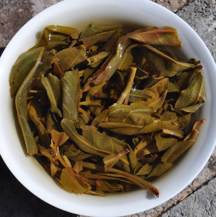 2016 Yunnan Sourcing "Nuo Wu Village" Raw Pu-erh Tea | Yunnan Sourcing Tea Shop