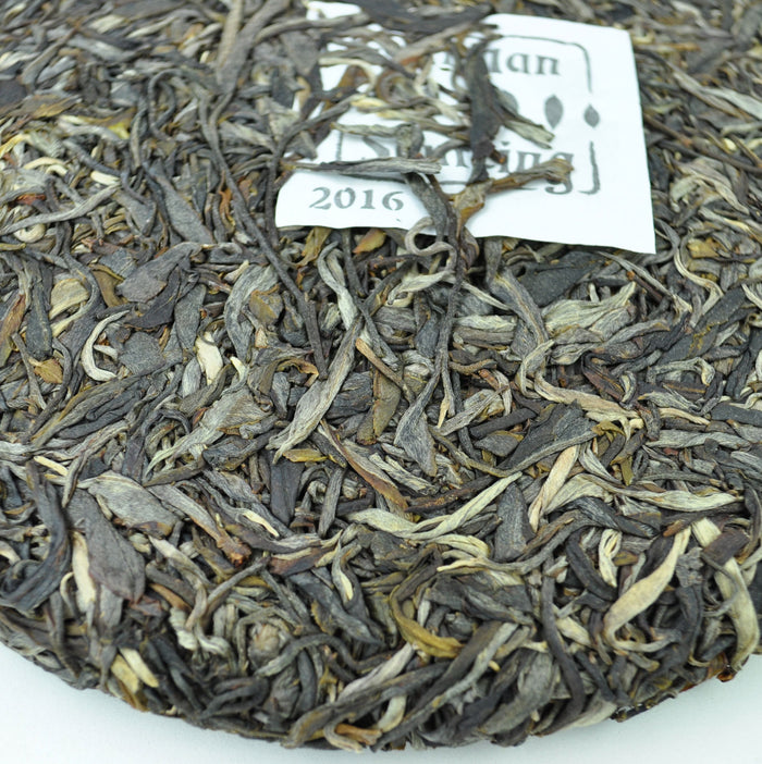 2016 Yunnan Sourcing Qing Mei Shan Old Arbor Raw Pu-erh Tea Cake | Yunnan Sourcing Tea Shop