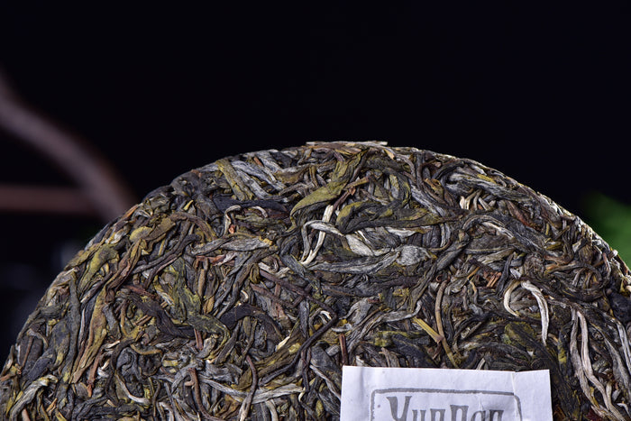 2017 Yunnan Sourcing "Bang Dong Zi Cha" Purple Raw Pu-erh Tea Cake | Yunnan Sourcing Tea Shop