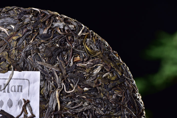2017 Yunnan Sourcing "Da Hu Sai" Wild Arbor Raw Pu-erh Tea Cake | Yunnan Sourcing Tea Shop