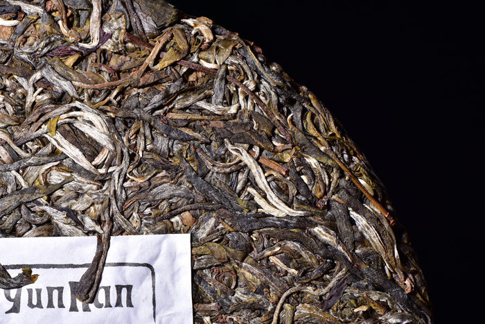 2017 Yunnan Sourcing "Da Qing Gu Shu" Raw Pu-erh Tea Cake | Yunnan Sourcing Tea Shop