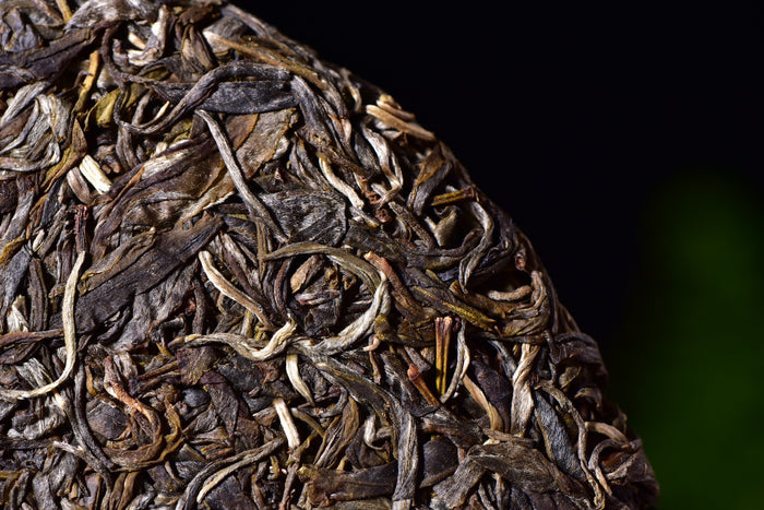 2017 Yunnan Sourcing "Zao Qiao Di Village" Raw Pu-erh Tea Cake | Yunnan Sourcing Tea Shop
