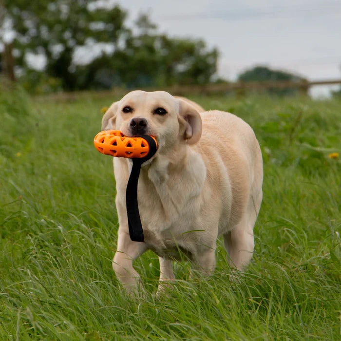Ancol Tough floating donut dog toy, further view of the 33cm ring and its webbing strap