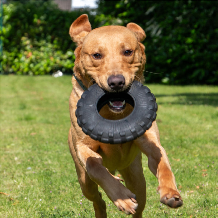 Ancol Tough Tyre dog toy, additional view of the 21cm open ring shape
