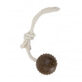 Ancol Tough ropey ball tugger, textured coffee-grounds rubber ball on a rope for tug and fetch