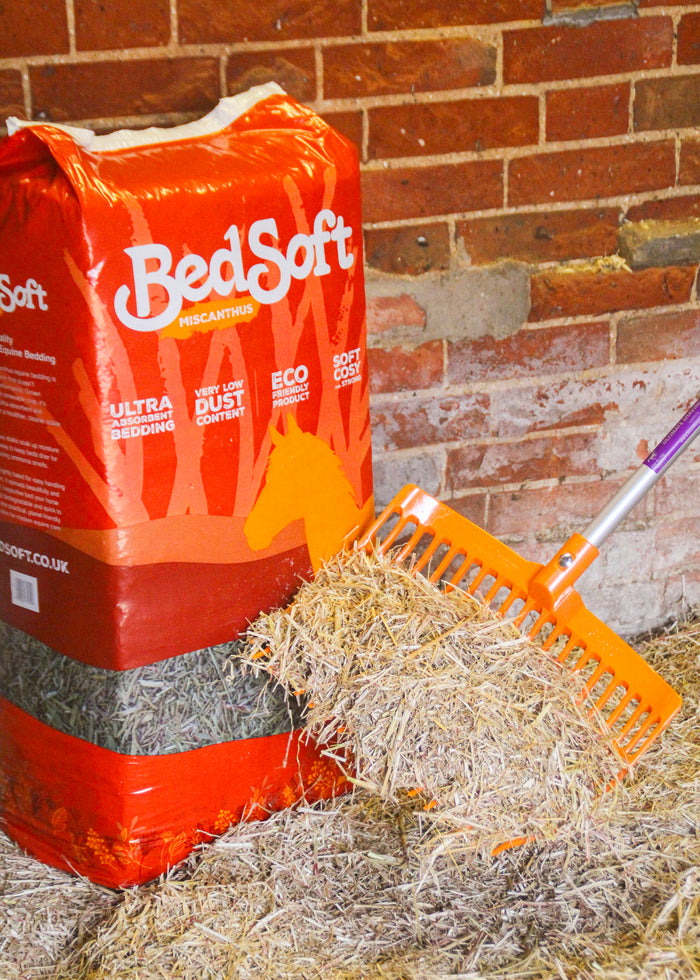 Horse standing on a bed of Bedsoft Miscanthus bedding in a stable