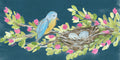Bird And Nest Pillow Swap