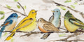 Bird Pals Pillow Swap