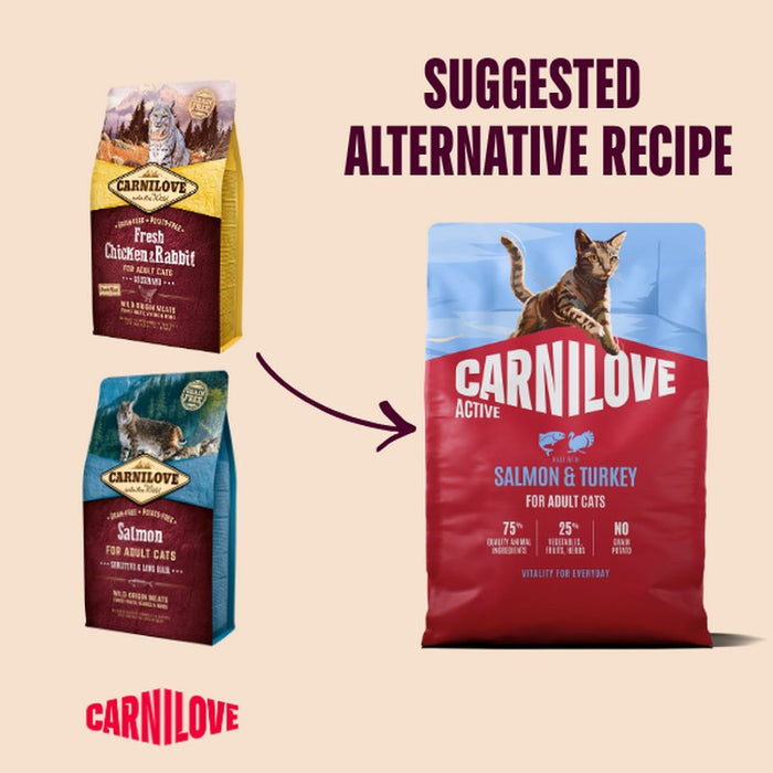 Carnilove ACTIVE Salmon & Turkey adult cat food, second view of the 400g bag