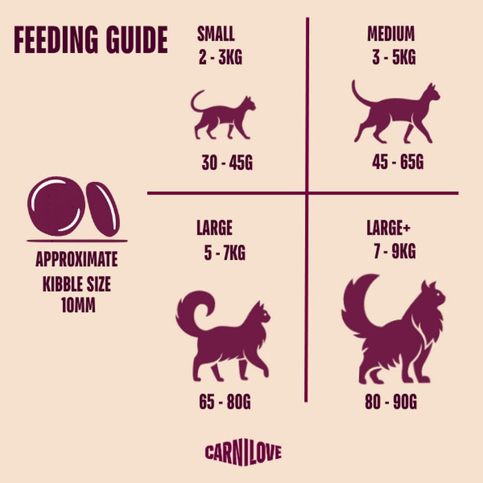 Carnilove ACTIVE Salmon & Turkey adult cat food, third view of the 400g bag