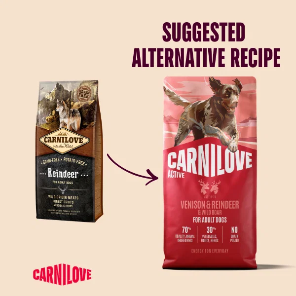 Carnilove ACTIVE Venison, Reindeer & Wild Boar dry dog food, second view of the bag