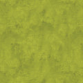 Chalk Texture Citron by Cherry Guidry 9488 42