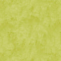 Chalk Texture Lime by Cherry Guidry 9488 40