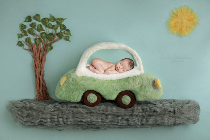 Digital  Backdrop
