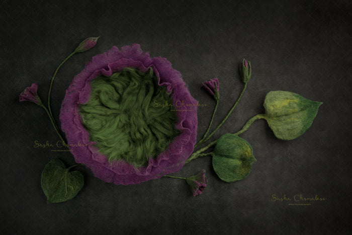 Digital  Backdrop