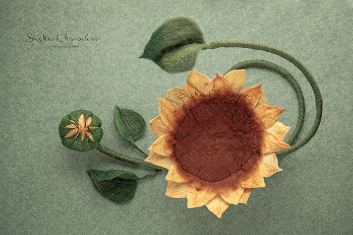 Digital  Backdrop