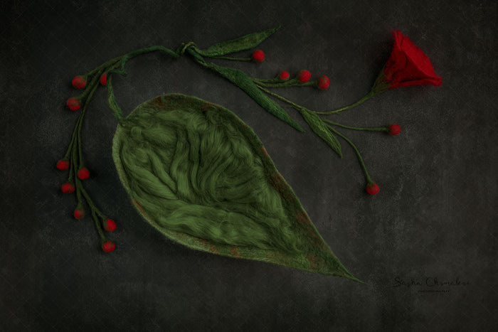 Digital  Backdrop
