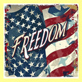 Freedom Square Pillow Swap
