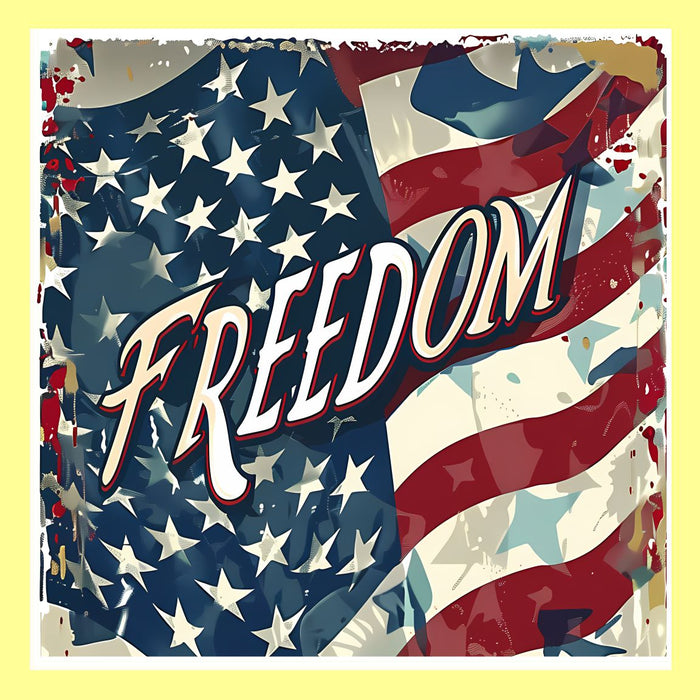 Freedom Square Pillow Swap