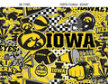 Iowa Hawkeyes NCAA Pop Art Graffiti Design IA-1498-08
