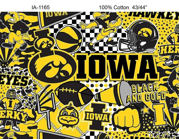Iowa Hawkeyes NCAA Pop Art Graffiti Design IA-1498-08