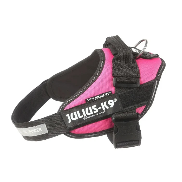 Julius-K9 IDC Powerharness in pink, size 0, showing the reflective chest strap and top handle