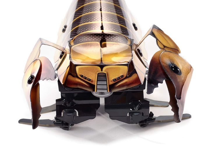 Kamigami Scarrax Robot