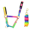 KM Elite rainbow multicoloured webbing headcollar with matching lead rope in the smallest size we stock