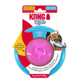 KONG Gyro puppy toy, a spinning centre orb held inside a static outer ring