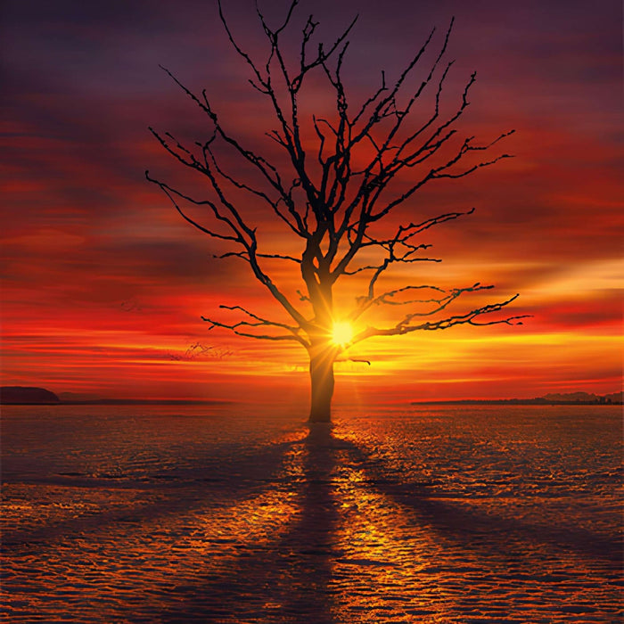 Lonely Tree Minimalist Art Print Plush Fleece Throw Blanket