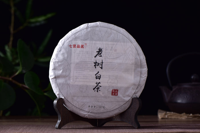 Menghai "Lao Shu Bai Cha" White Tea Cake * Spring 2021 | Yunnan Sourcing Tea Shop