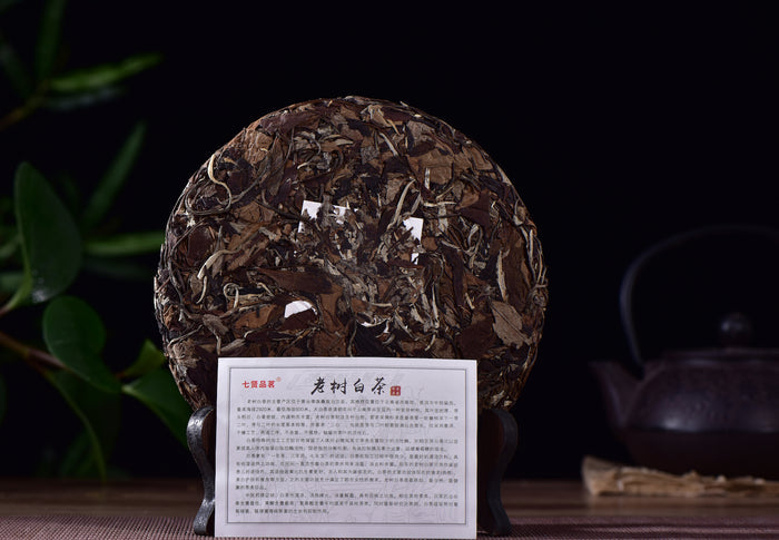 Menghai "Lao Shu Bai Cha" White Tea Cake * Spring 2015 - Yunnan Sourcing Tea Shop