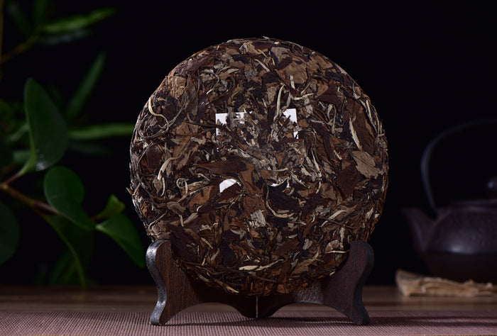 Menghai "Lao Shu Bai Cha" White Tea Cake * Spring 2015 - Yunnan Sourcing Tea Shop