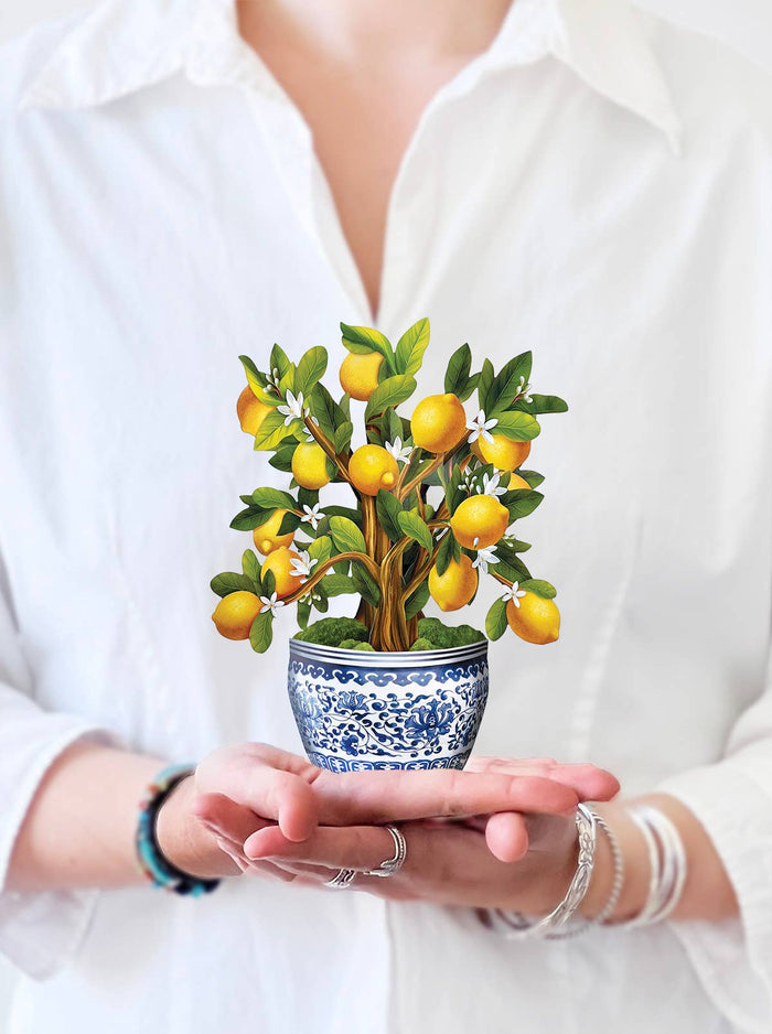 Mini Lemon Blossom Tree  Card