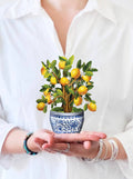 Mini Lemon Blossom Tree  Card