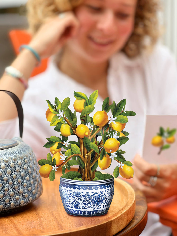 Mini Lemon Blossom Tree  Card