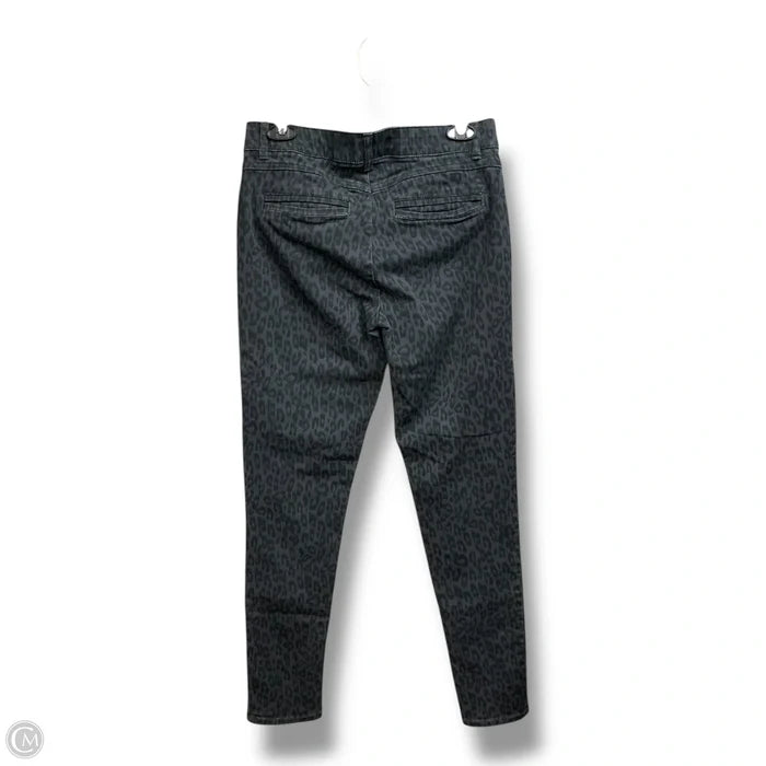 Pants Other By Democracy In Animal Print, Size: 6