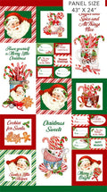 Peppermint Candy DP24620-10 Panel by Northcott Fabrics