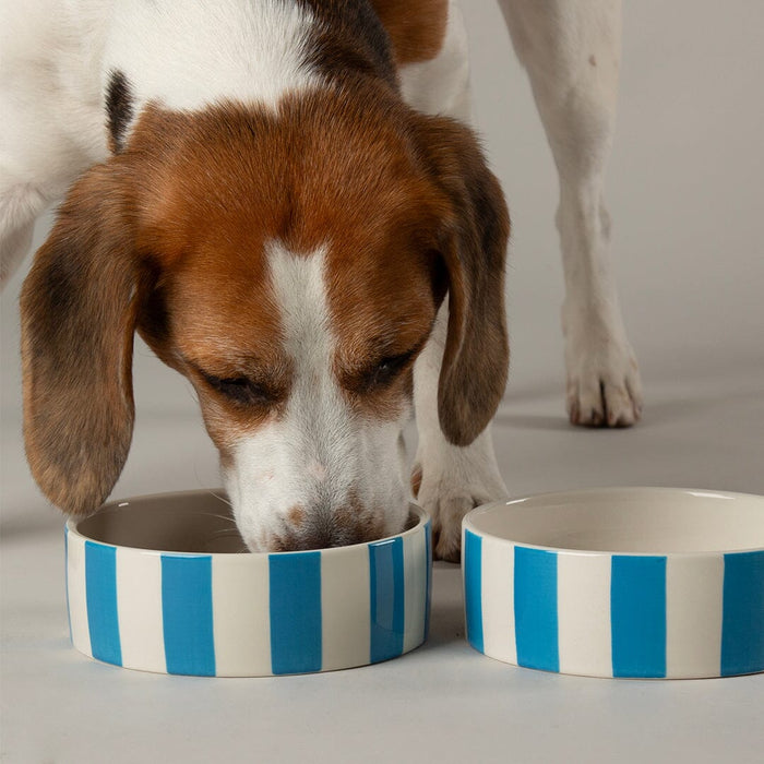 Additional view of the Scruffs Amalfi blue stripe stoneware bowl
