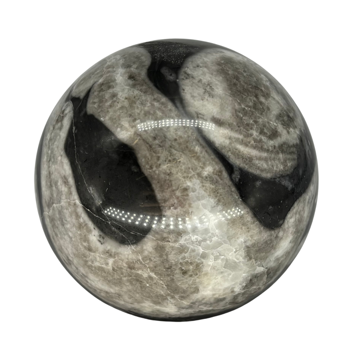 Shell Jasper Sphere $47.99