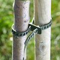 Smart Garden SmartLok plant ties in their retail pack, six 35cm self-locking plastic straps