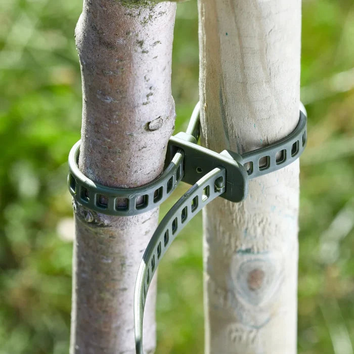 Smart Garden SmartLok plant ties in their retail pack, six 35cm self-locking plastic straps