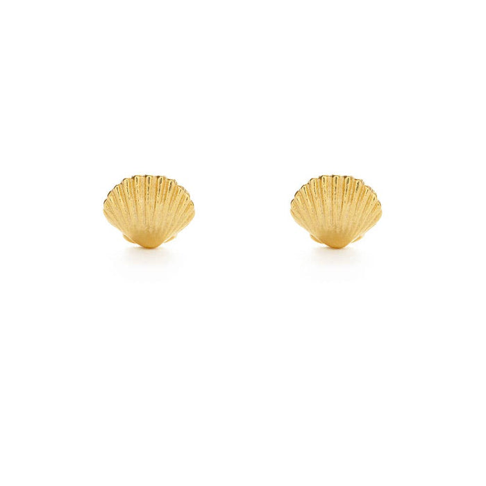 Tiny Shell Stud Earrings