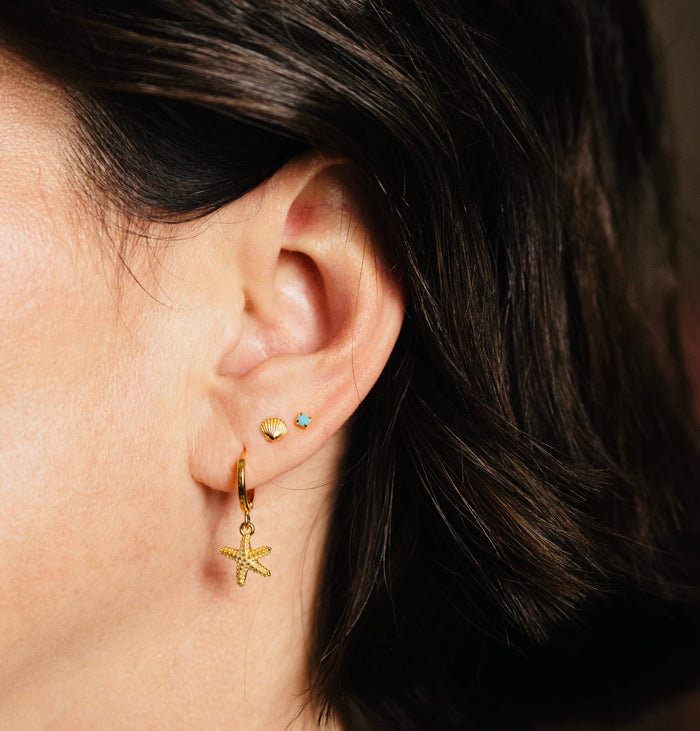 Tiny Shell Stud Earrings