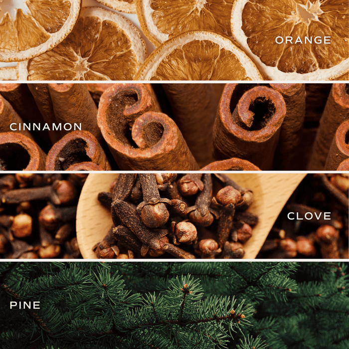Warm and Cozy Reed Diffuser